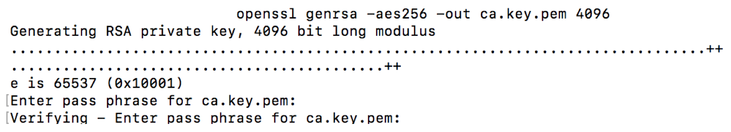 Openssl generate rsa 256 key pair